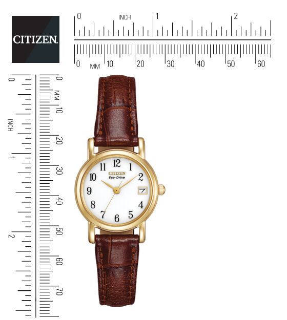 Citizen Eco-Drive White Dial Gold Plated Womens Watch EW1272-01A