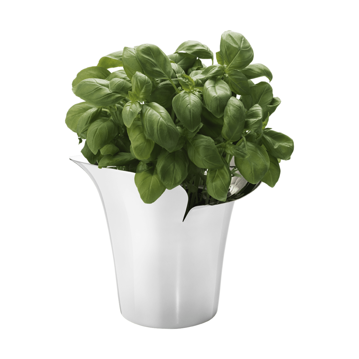 Georg Jensen Living Stainless Steel BLOOM BOTANICA Flower Pot (Small) 10019580
