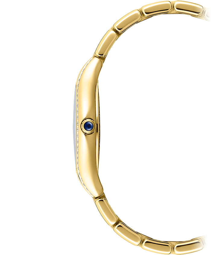 Raymond Weil Noemia Mother of Pearl Dial Diamond Set PVD Gold Plated Womens Quartz Watch 24mm 5124-PS-00985