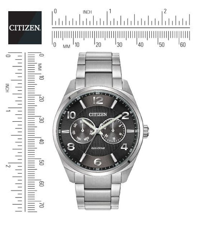 Citizen Eco-Drive Black Dial Stainless Steel Day-Date Mens Watch AO9020-84E