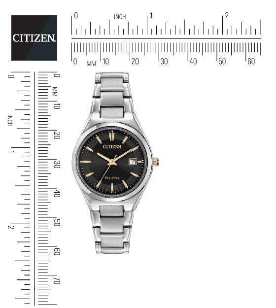Citizen Eco-Drive Black Dial Stainless Steel Womens Watch EW1970-55H