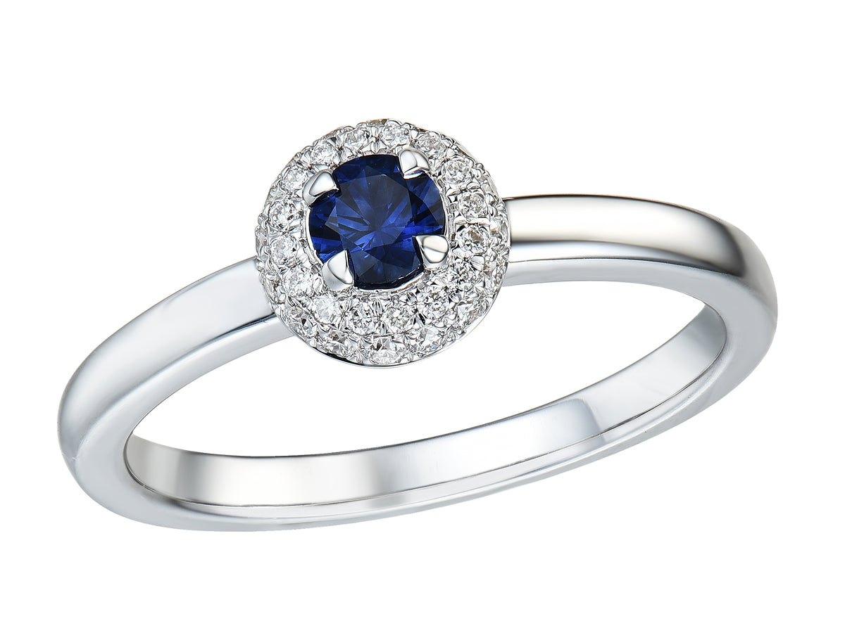 Platinum Round Sapphire & Diamond Set Double Row Halo Cluster Ring