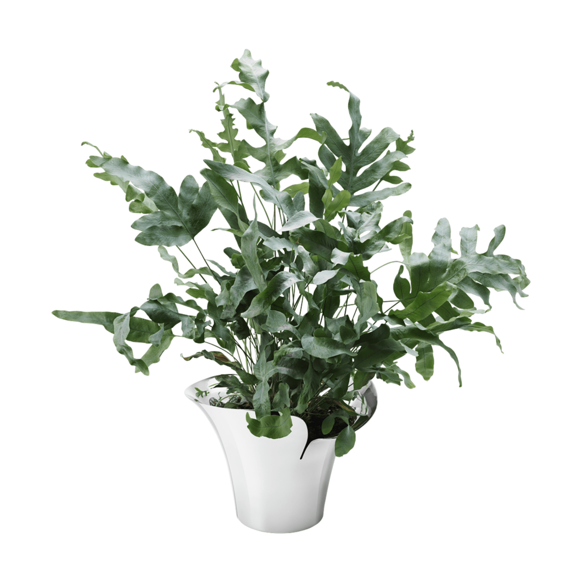 Georg Jensen Living Stainless Steel BLOOM BOTANICA Flower Pot (Medium) 10019514