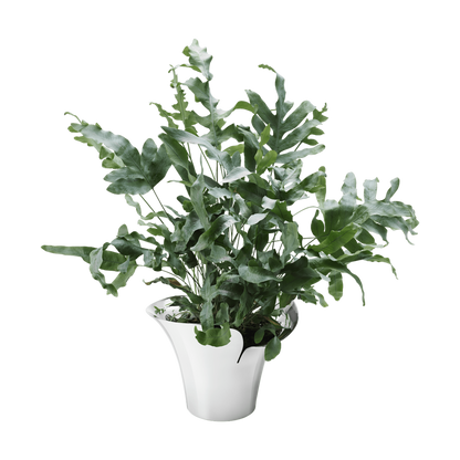 Georg Jensen Living Stainless Steel BLOOM BOTANICA Flower Pot (Medium) 10019514