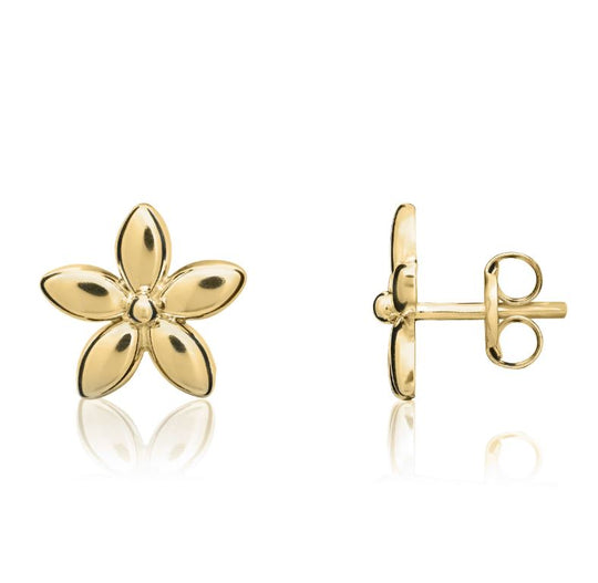 9ct Gold Daisy Stud Earrings