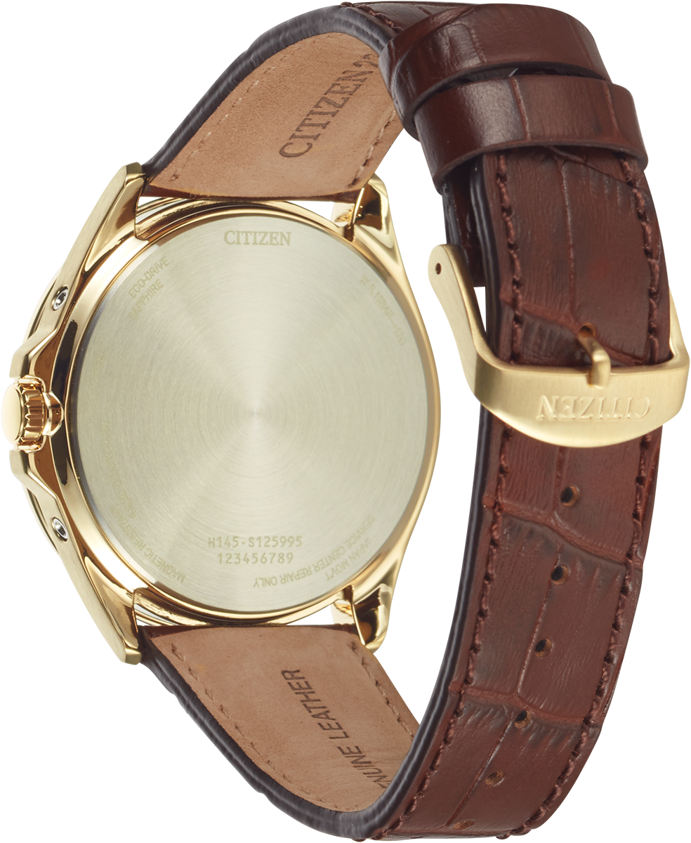 Citizen Eco-Drive World Perpetual A-T White Dial Gold Plated Mens Radio Controlled Chronograph Watch CB0253-19A