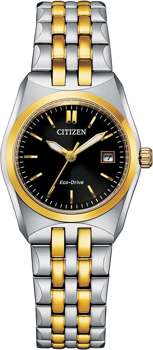 Citizen Eco-Drive WR100 Black Dial Two Tone Womens Watch EW2299-50E
