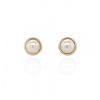9ct Gold Pearl Set Stud Earrings Thumbnail